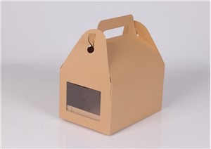 Disposable Takeaway Biodegradable Printed Paper Fast Food Packaging