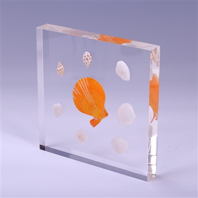 Custom Clear Acrylic Cube Block Embeded Flower Shell For Gifts And Decorative