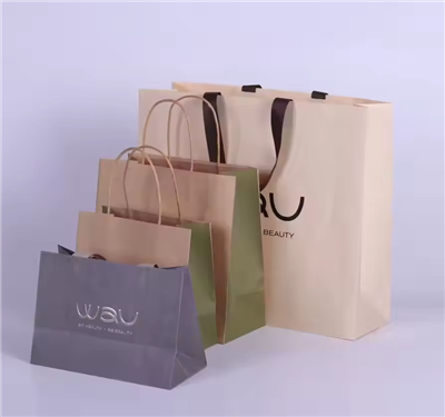 Custom Logo Printed Luxury Gift Paper Bag Jewelry Cardboard Shopping Paper Bags For Clothing Shoes