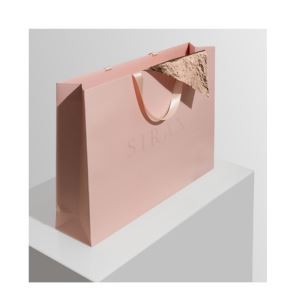 High Quality Boutique Luxury Fashionable Packaging Bags For Woman Shopping Clothes