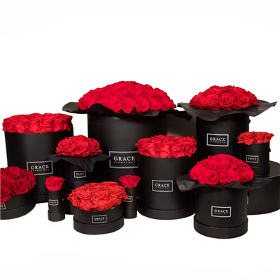 Hot Sale Preserved Rose in Box Luxurious Flower Lasting Flower Eternal Forever Rose For Decoration Gift Wedding Anniversary