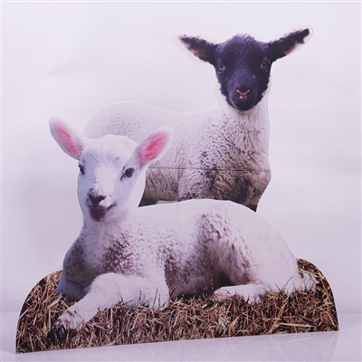 Paper Pet-Shaped Advertising Stand
